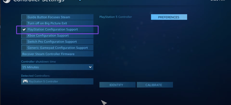 Enable Xbox Playstation controller on Steam