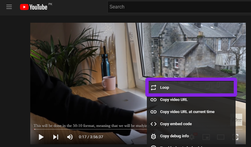 Youtube video loop