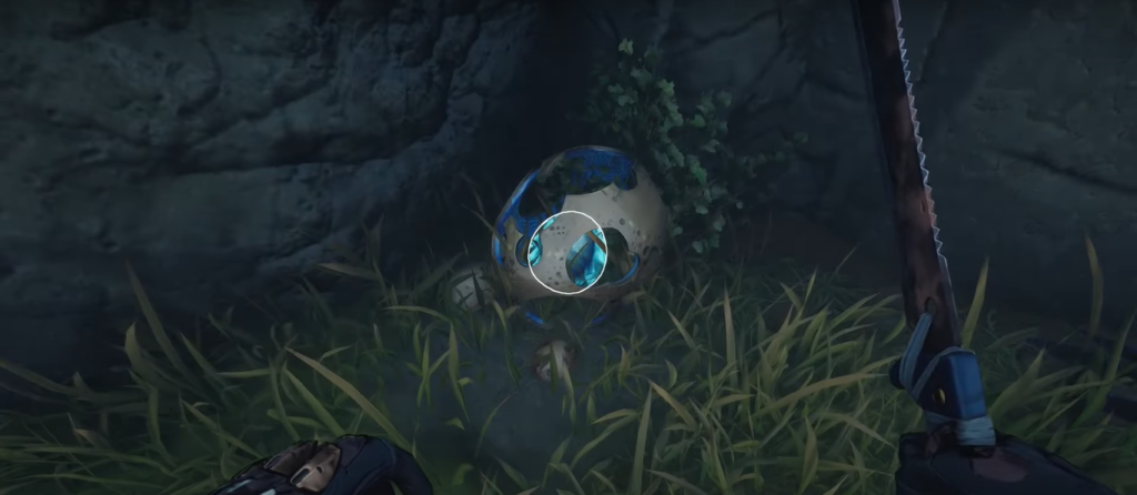 Blue Runner Eggs Location