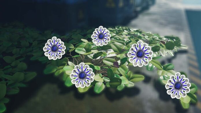 The Cycle: Frontier Ivy Blossom
