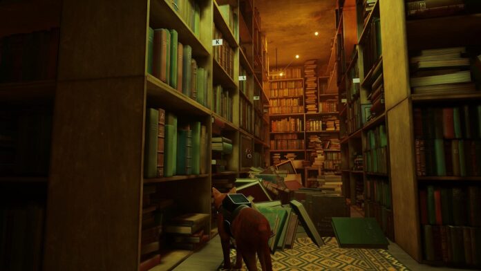 Stray notebook location