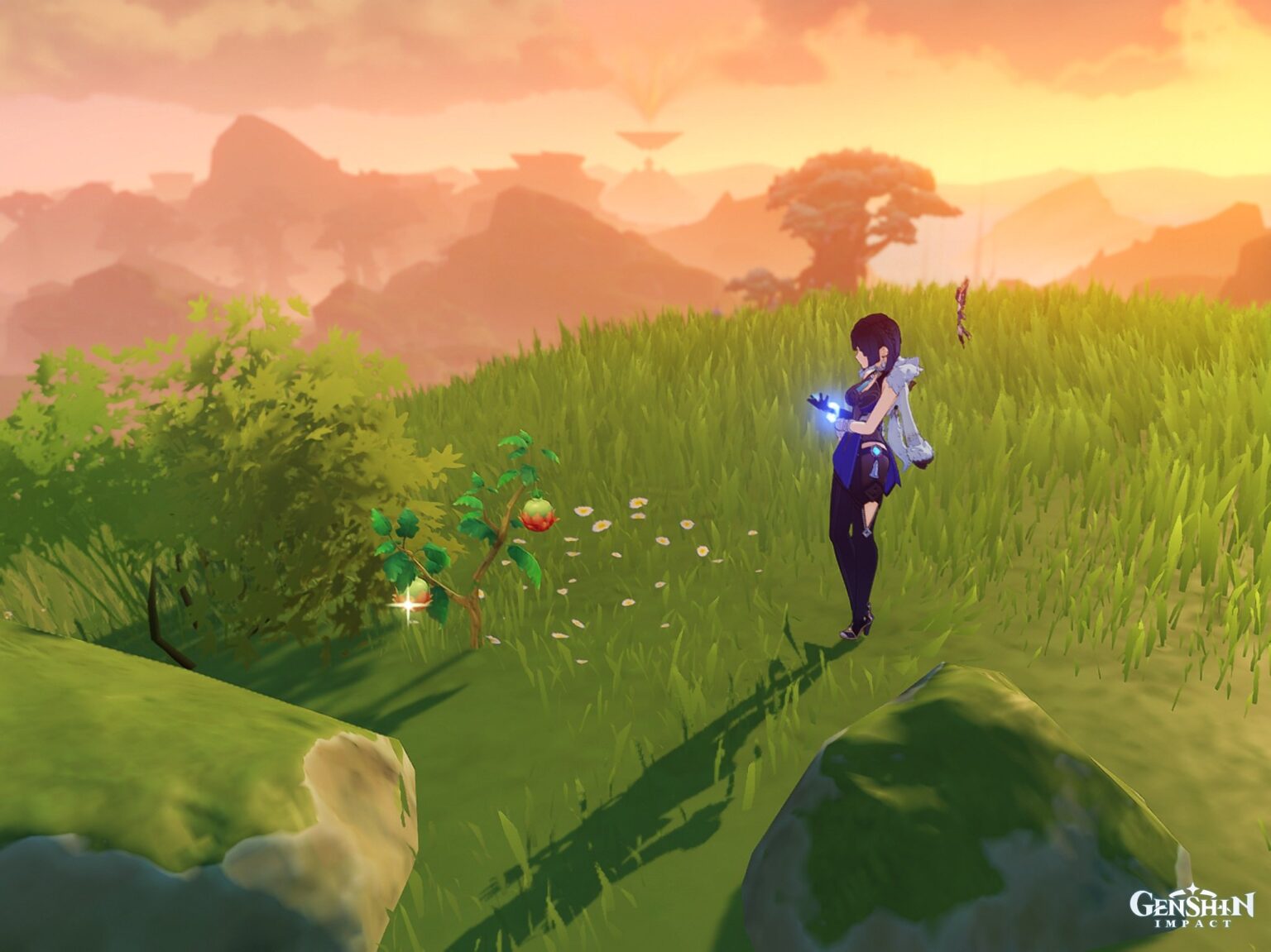 Harra Fruit Locations in Genshin Impact Retrology