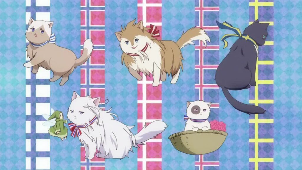 anime cats