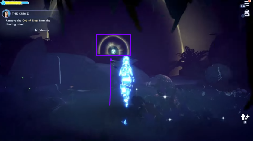 The orb