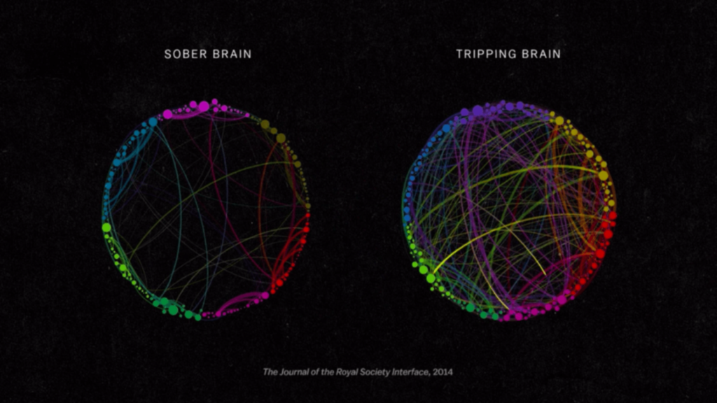 The Mind, Explained