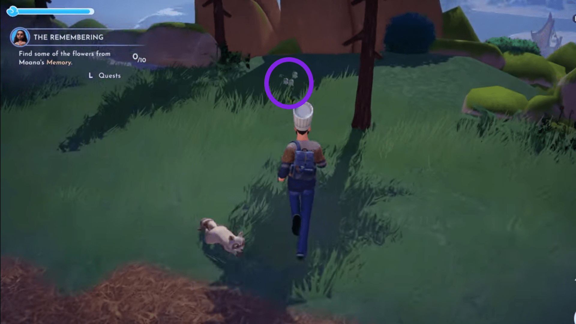 Head to Forest of Valor
