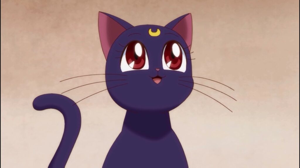 Luna from Sailor Moon