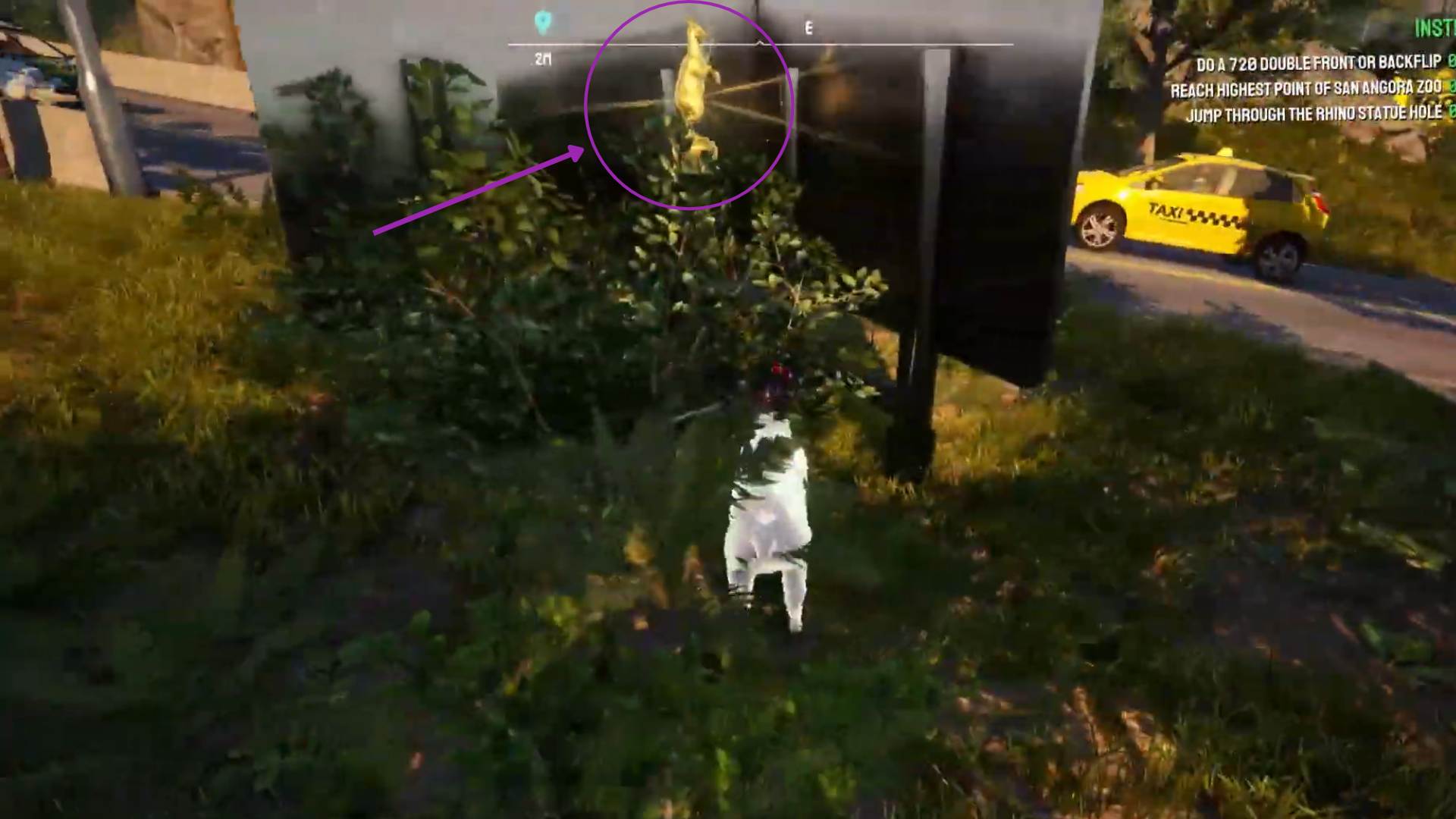 San Angora Zoo Trinkets Locations