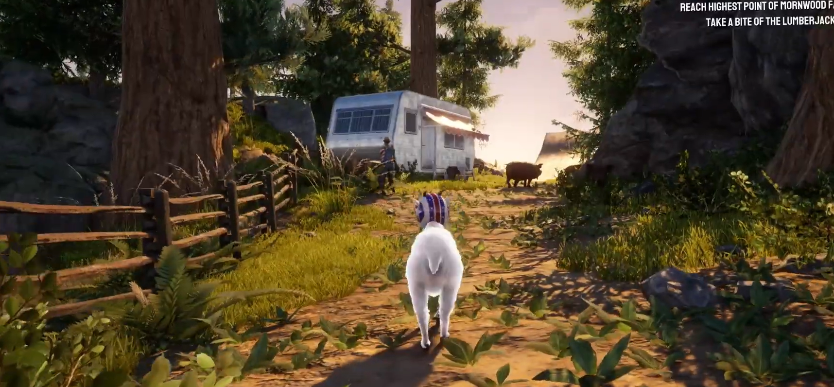 San Angora Zoo Trinkets Locations